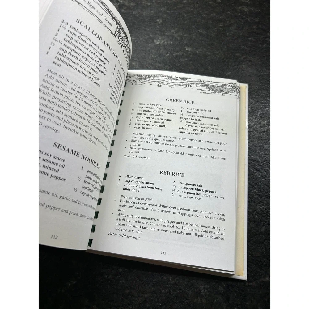 Mayberry Medley Cookbook Mount Airy NC Surry Arts Council 1995 Vintage Southern